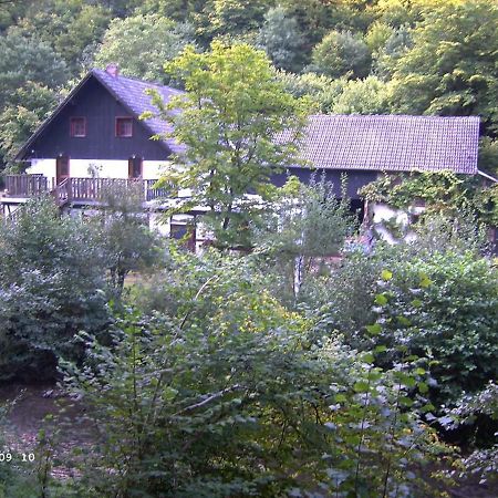 Neumuehle Ferienwohnung 2 Lutzerath Kültér fotó