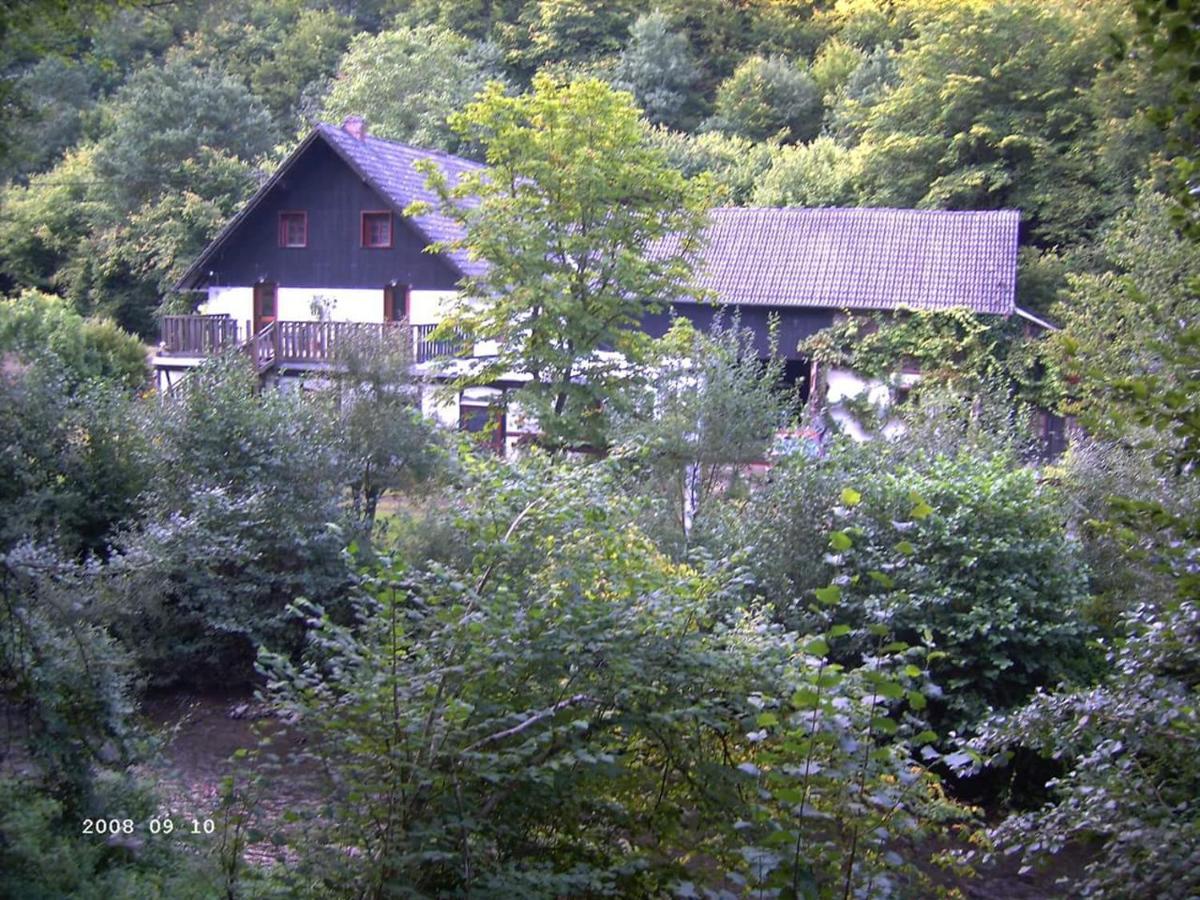 Neumuehle Ferienwohnung 2 Lutzerath Kültér fotó